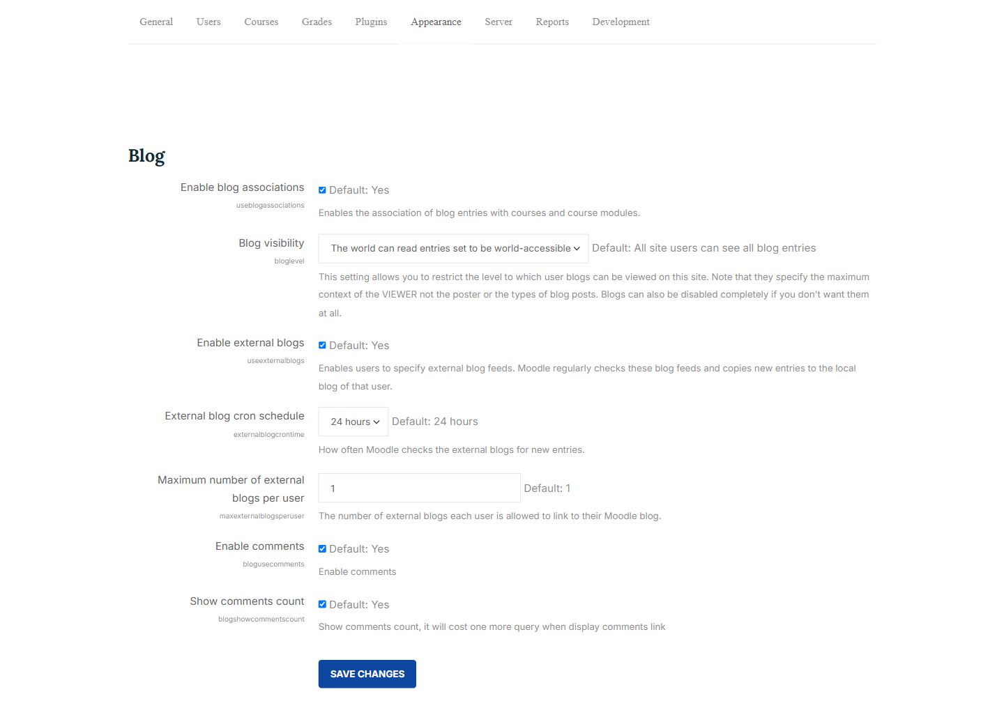 blog-options.png
